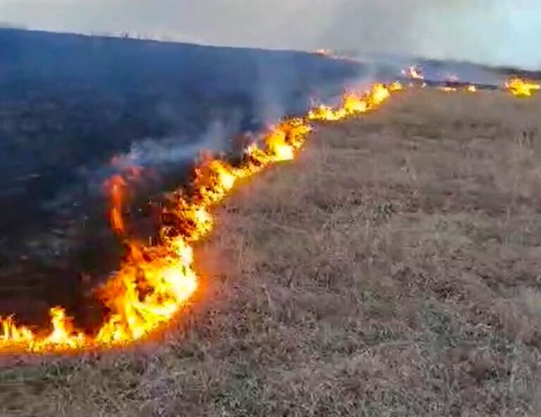 Zeci de incendii de vegetație uscată, în tot județul Vaslui. Pompierii vasluieni sunt disperați