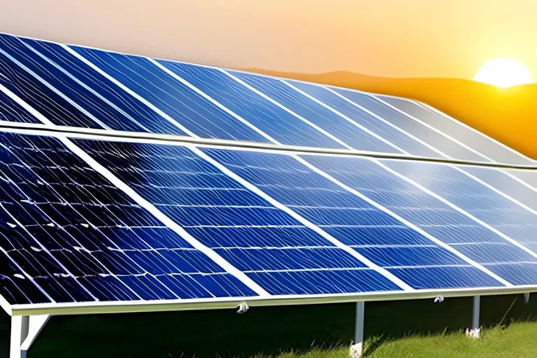 Țeapă cu panourile fotovoltaice. Două persoane, din Vaslui și Huși, reținute