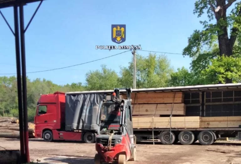 Transport ilegal de cherestea, din Suceava, depistat de polițiștii vasluieni pe DN 24