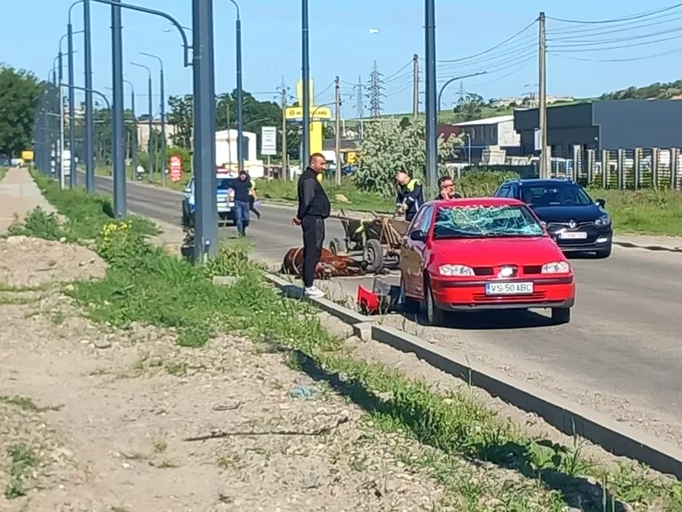 ACUM Accident în Zona Industrială. Un cal agonizează pe stradă