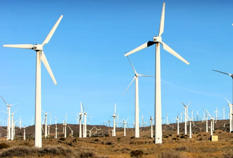 Parc gigant de turbine eoliene în județul Vaslui, 31 de turbine vor fi ridicate în zona Negrești