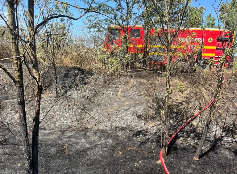 VIDEO Zeci de hectare de vegetație uscată au ars în comuna Fălciu