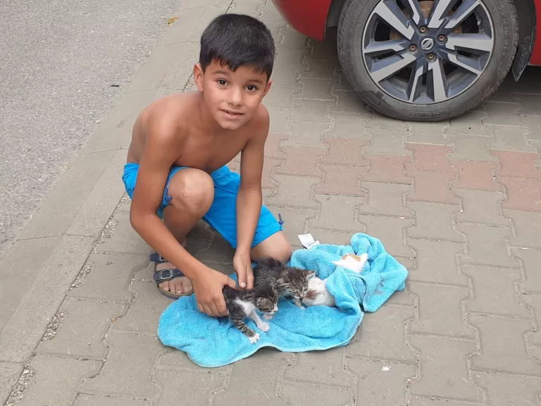Pompierii vasluieni au salvat trei pisoi, aruncați în pârâul Delea. Locatarii au adoptat doi dintre pisoii salvați