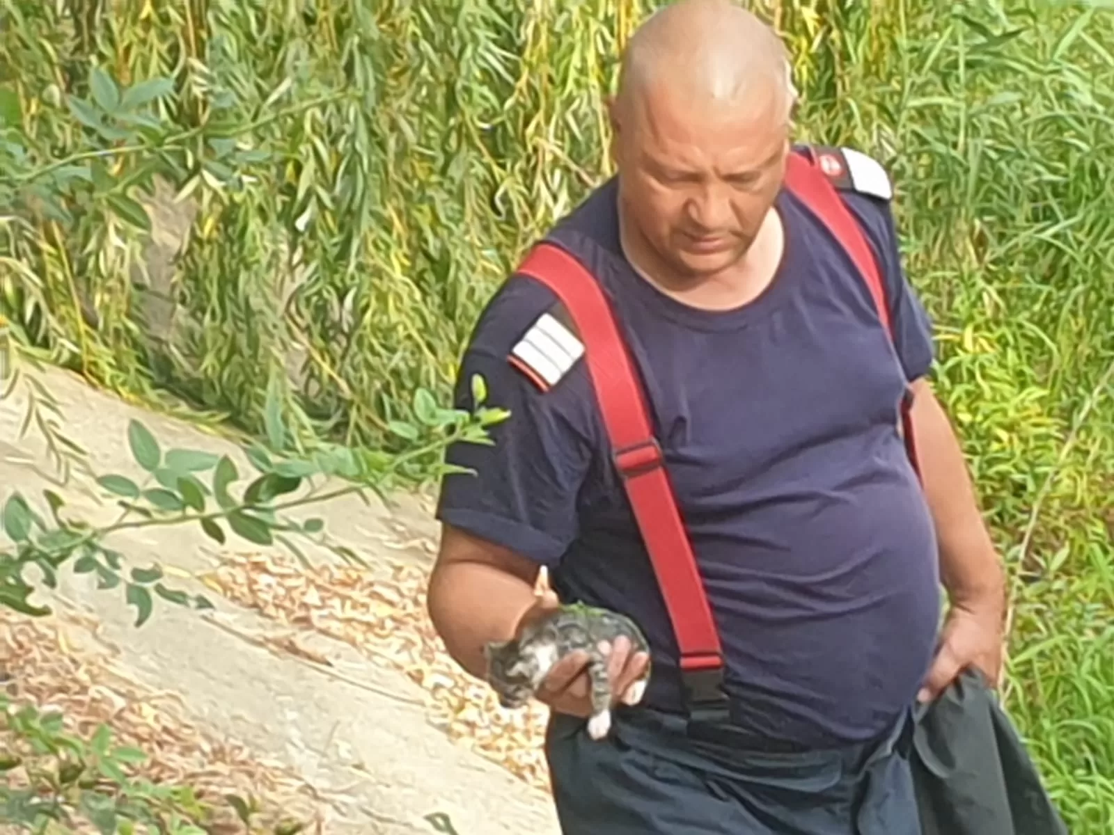 pompieri pisoi 53 jpg