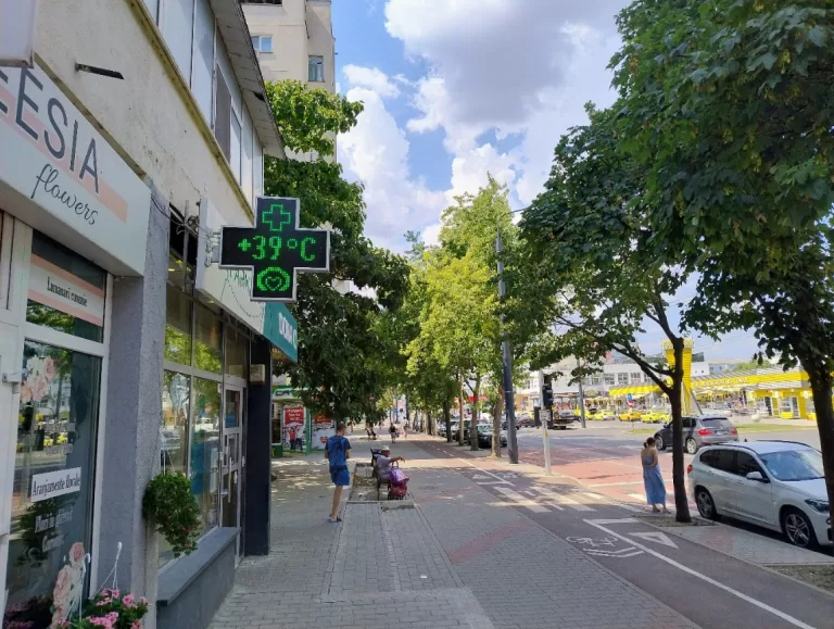 Goscom Vaslui va planta peste 160 de arbori și arbuști ornamentali