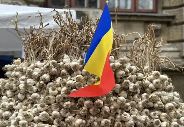 Zeci de producători de usturoi vasluieni, blocați de usturoiul ieftin din Ucraina, au primit bani de la stat