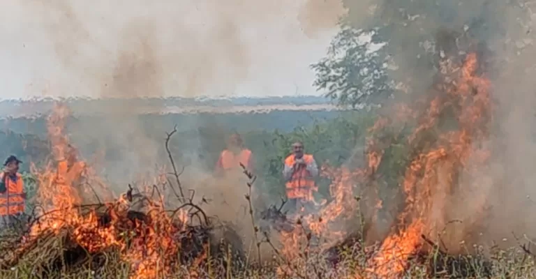 Incendiu de proporții pe lacul Prodana, la Bârlad. Toți pompierii bârlădeni sunt la intervenție