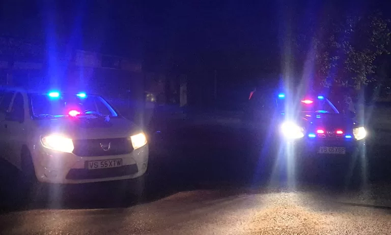 Cum a încercat un ”șofer” din Gherghești să-i păcălească pe polițiștii de la Rutieră