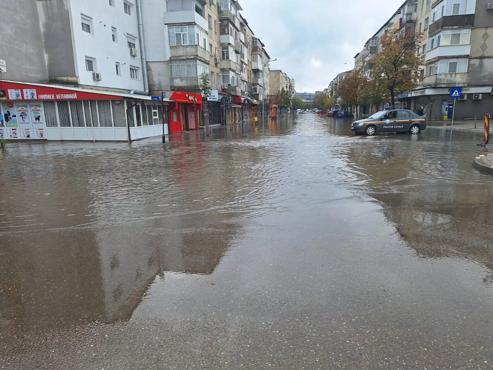 inundatii barlad 0123 jpg