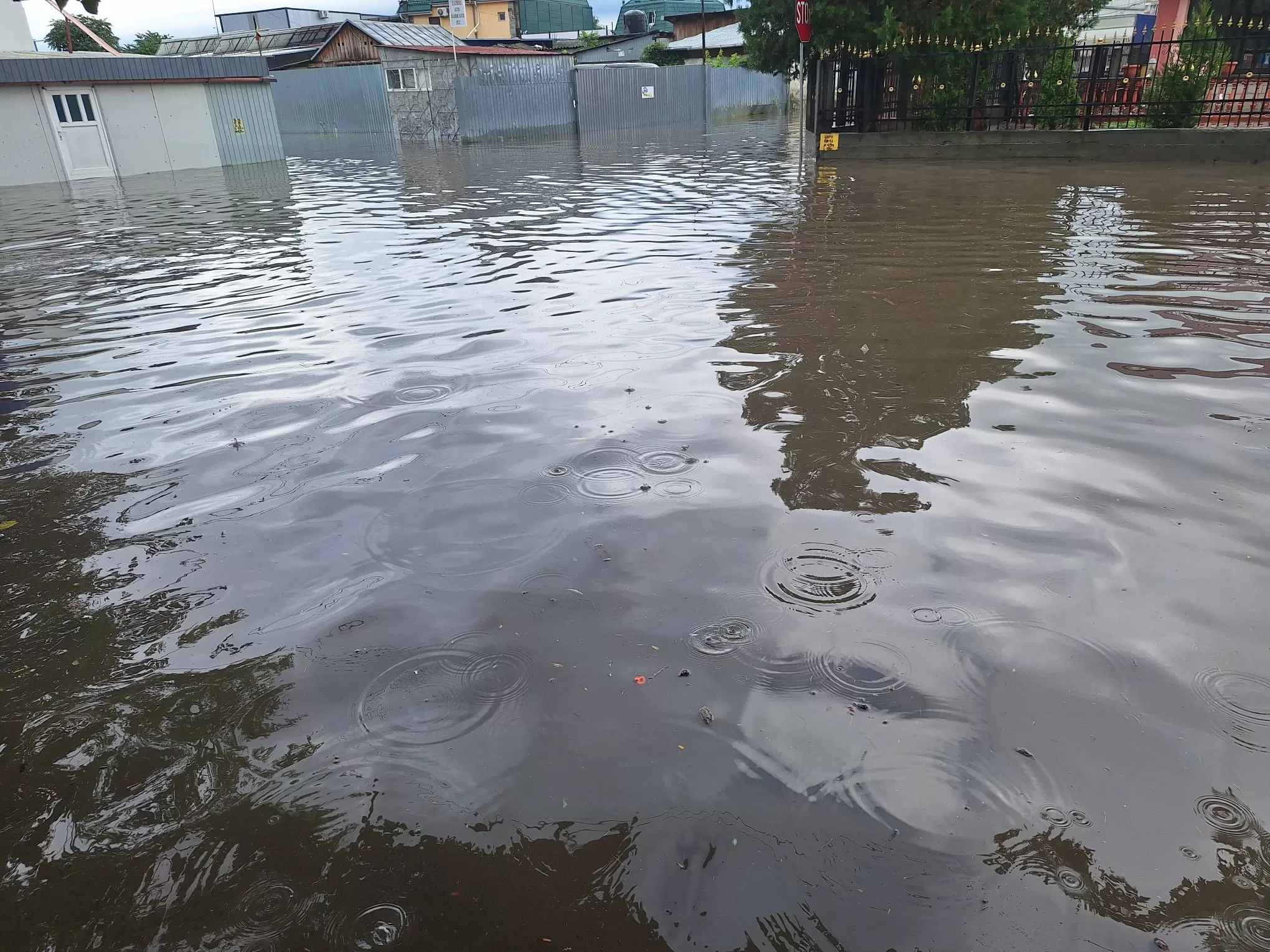 inundatii barlad 0127 jpg