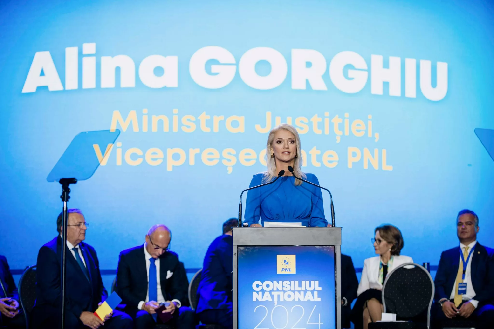 pnl ciuca 6 jpg