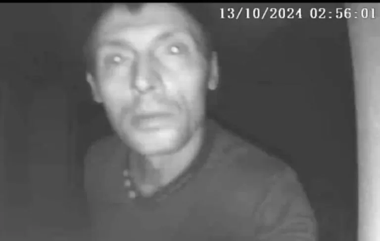NOAPTEA MINȚII ”Cuțitarul” din zona Gării avea un fierăstrău în mână, tăiase crengi. La 3 dimineața!