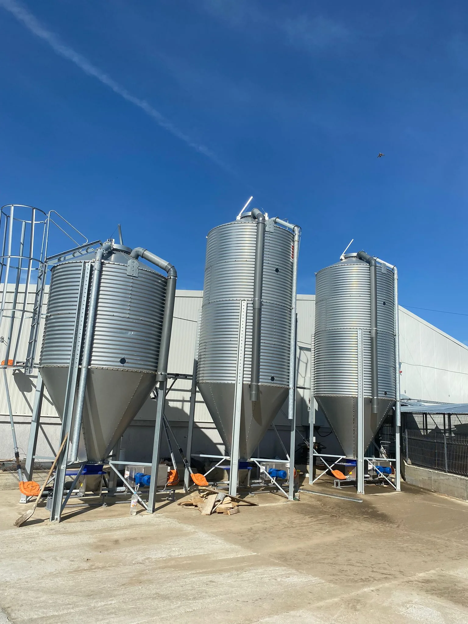 ferme murgeni sidela ticau 2 jpg