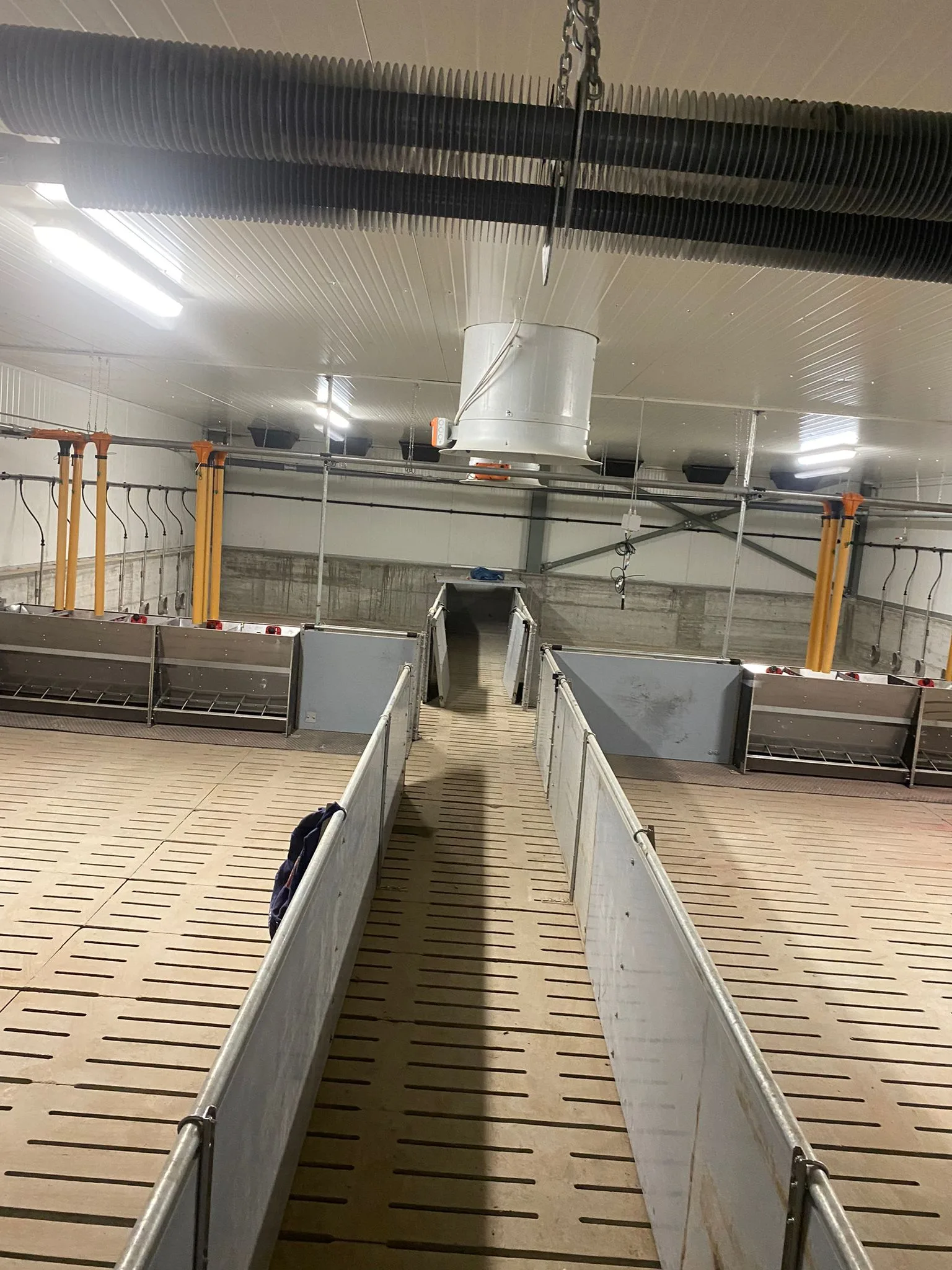 ferme murgeni sidela ticau 4 jpg
