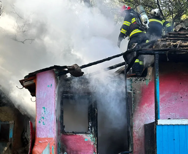 Incendiu la Brodoc, Vaslui, duminică seara. Pădurea din zonă, în pericol (VIDEO)