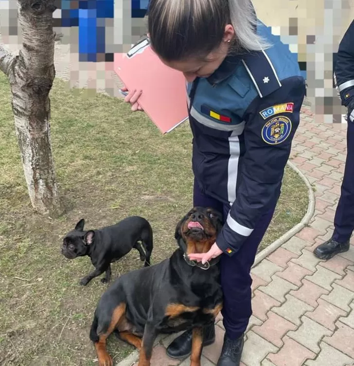 politia animalelor vaslui 125 jpg