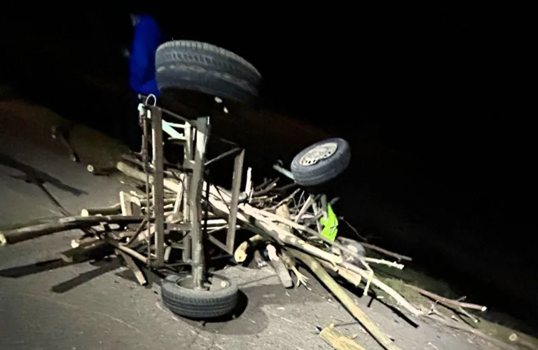 ȘTIREA NOPȚII O căruță a fost spulberată de o mașină, la Murgeni. Două persoane sunt rănite (VIDEO)