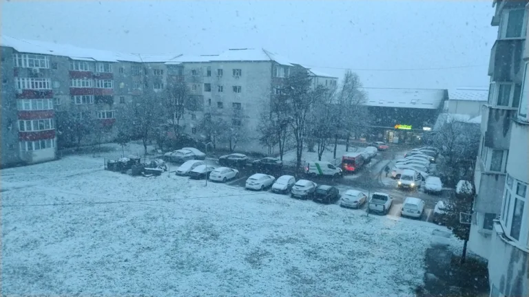 VIDEO NInge frumos la Vaslui, au fost emise alerte de ninsoare până joi, la prânz