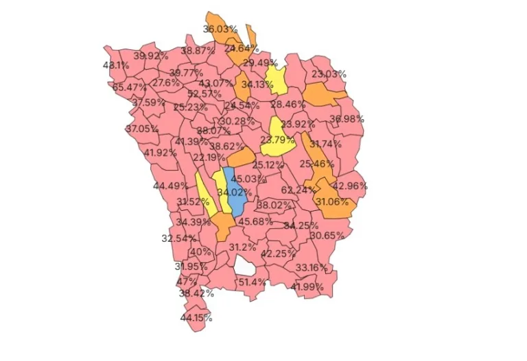 HARTA ALEGERILOR PARLAMENTARE VASLUI Cum au votat vasluienii, pe 1 Decembrie. PSD și AUR au strâns jumătate dintre voturile vasluienilor