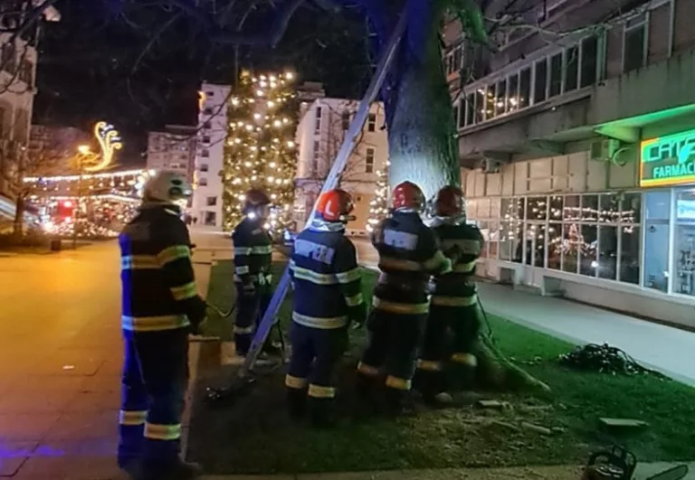 Glumă idioată! Autori necunoscuți au dat foc unui copac din centrul Vasluiului