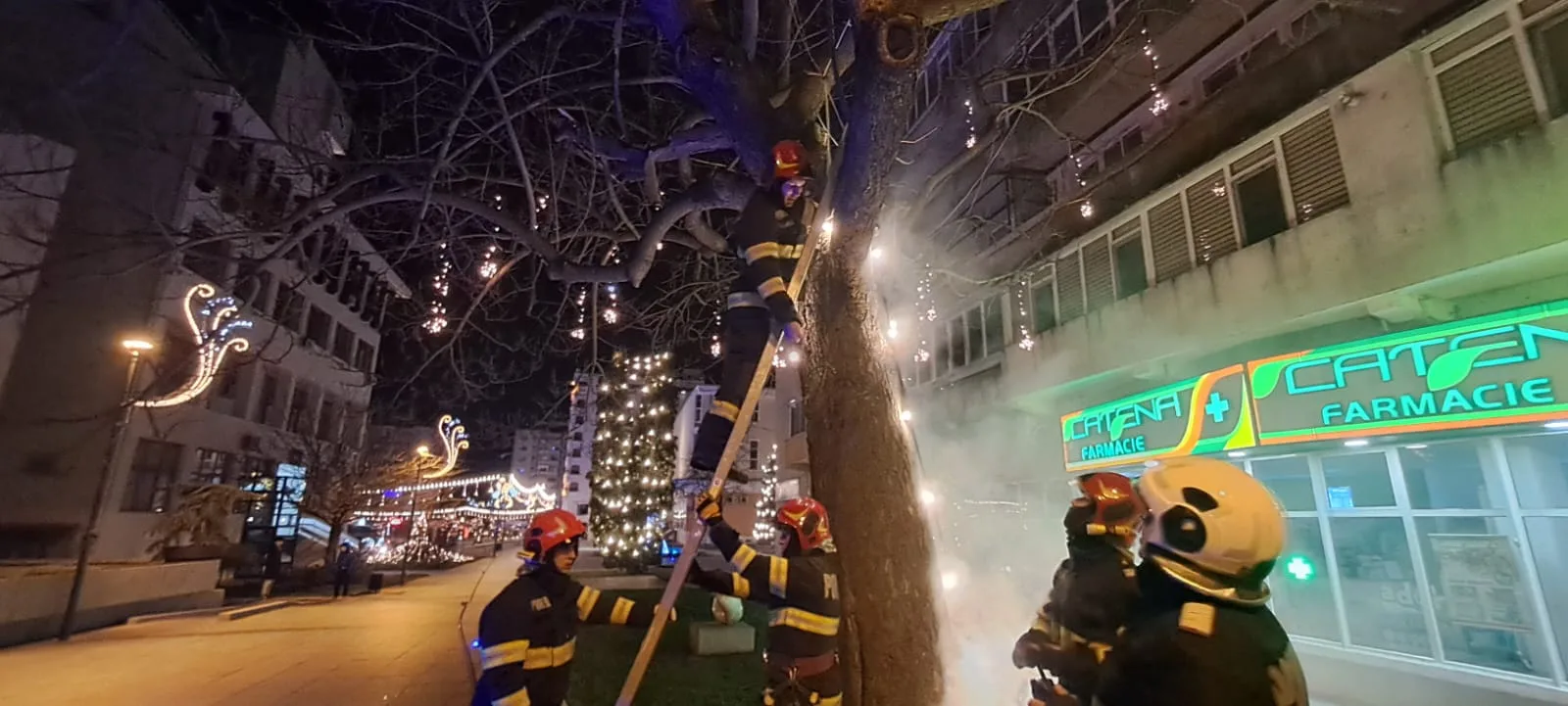 incendiu copac vaslui 00013 jpg