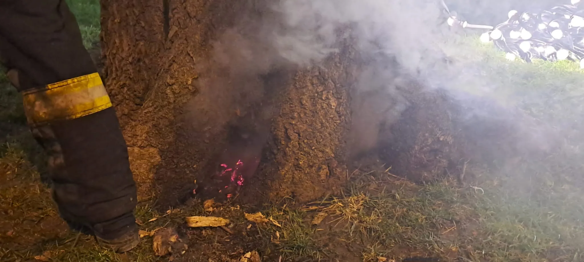 incendiu copac vaslui 00014 jpg