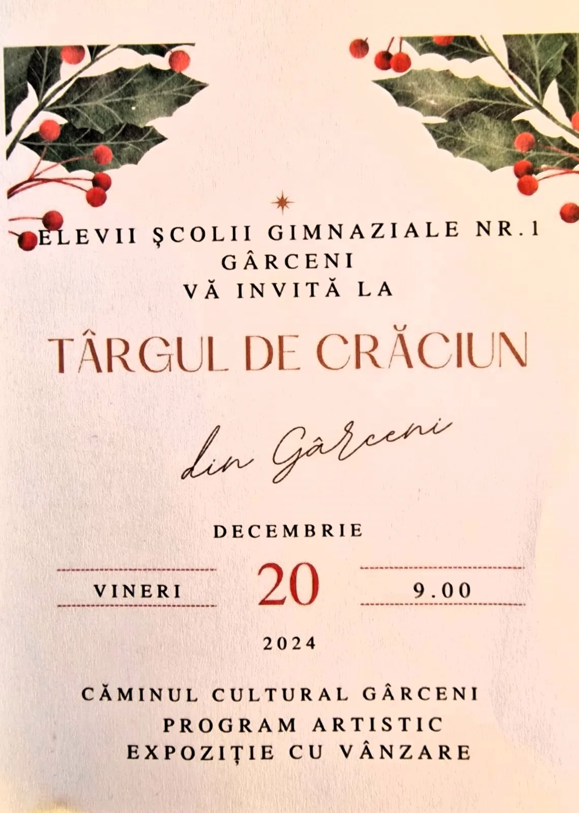 targ de craciune garceni 4 jpg