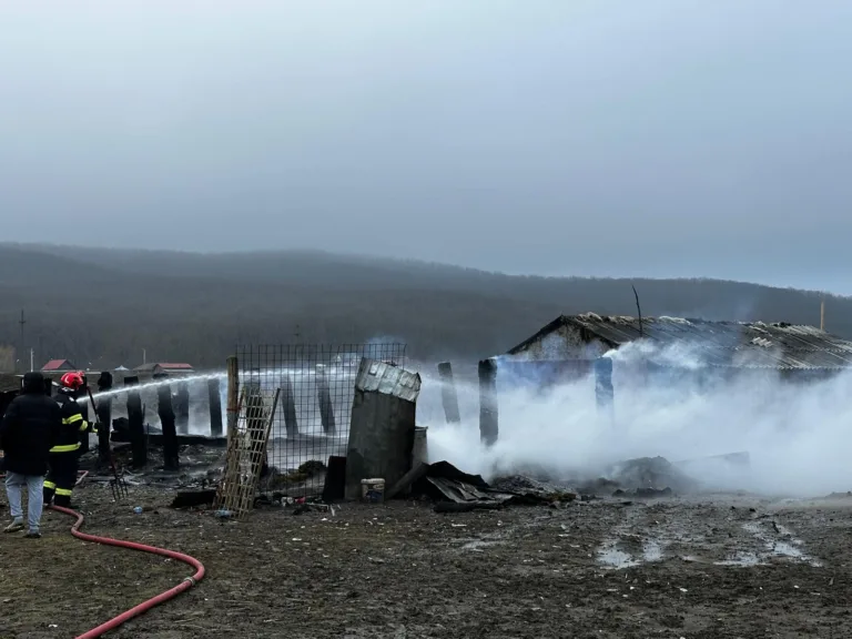 Incendiu la o stână din Zona Industrială, la Vaslui, zeci de animale au fost salvate