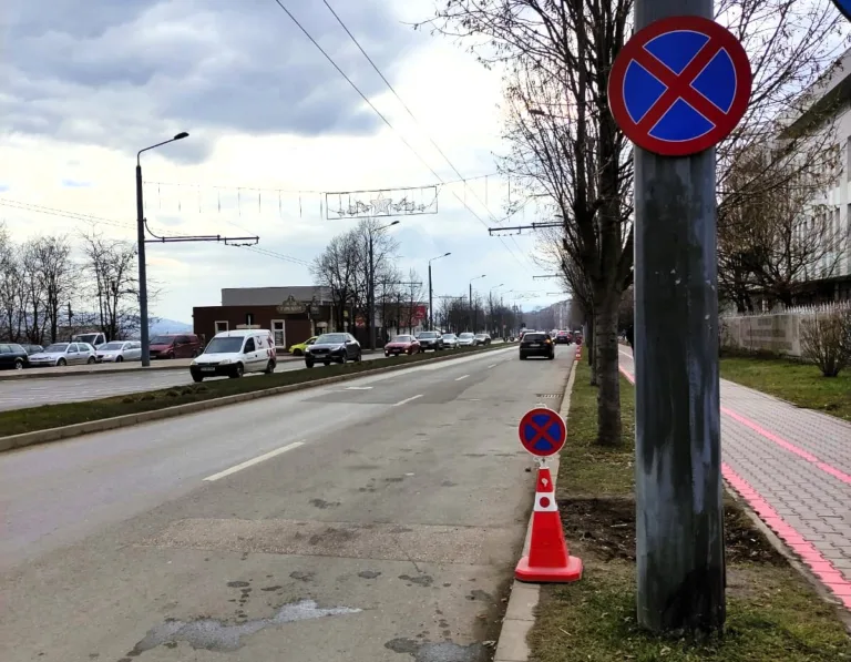 Vasluienii, apel către primarul Braniște. ”Avem nevoie de locuri de parcare la Spitalul Județean. Vă rugăm, reveniți asupra deciziei!”