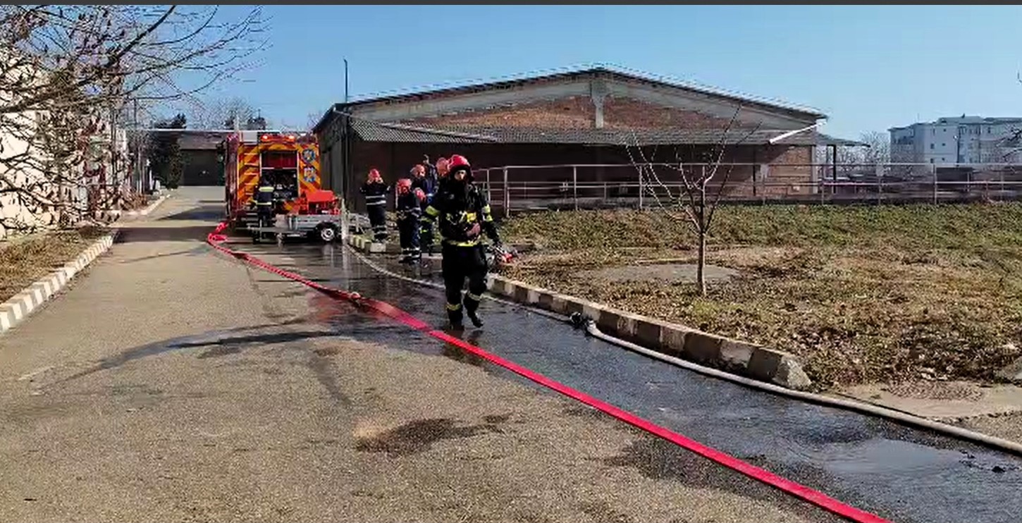 exercitiu isu husi 2900
