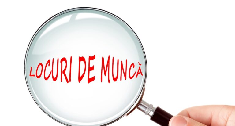 Locuri de muncă vacante, în județul Vaslui. Grupul de firme SAFIR are 45 de posturi disponibile