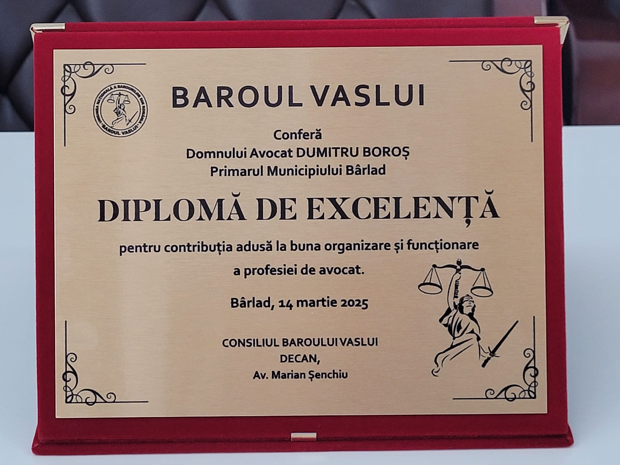 dumitru boros baroul vaslui 26