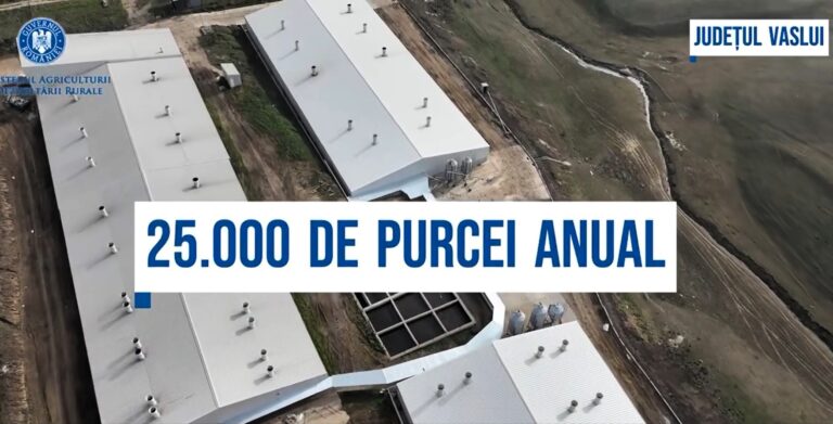 VIDEO Grupul SIDELA Murgeni produce 25.000 de purcei, anual. Ministrul Agriculturii: ”Un proiect de succes”