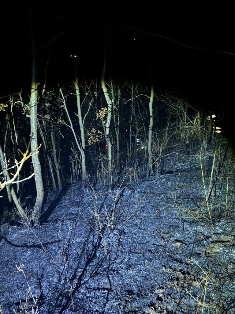 Două incendii de pădure, într-o singură seară!, în Gherghești și Poienești