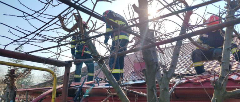 Incendiu în cartierul Moara Grecilor, la Vaslui. Locuința a fost salvată