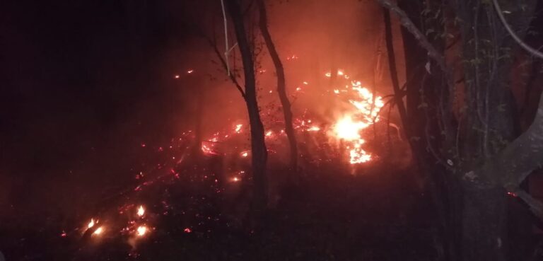 VIDEO Peste 500 de baloți de paie au ars la Suseni, Băcani