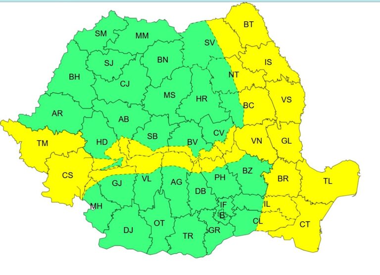 Cod galben de vânt pentru județul Vaslui, până duminică seara
