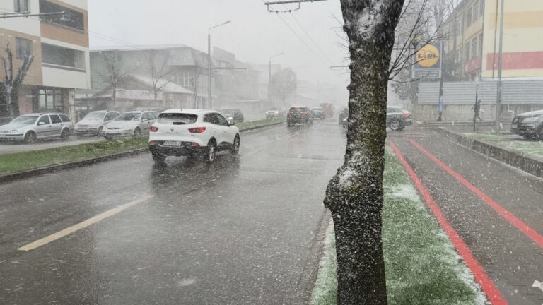 Fenomen extrem la Vaslui, furtună de zăpadă în aprilie (VIDEO)
