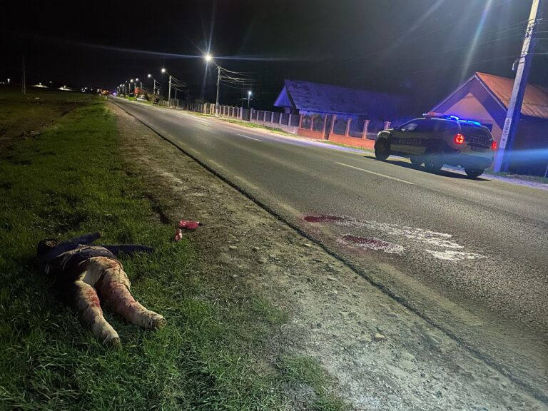 SĂLBATICI CU ACTE Șase tineri din Muntenii de Sus din au simulat un accident mortal!