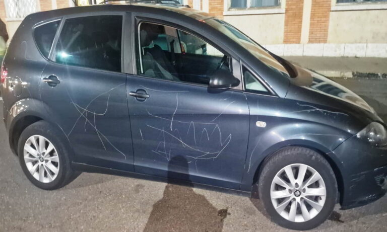 Mașină furată din Germania, descoperită în Vama Albița. Ce a spus șoferița