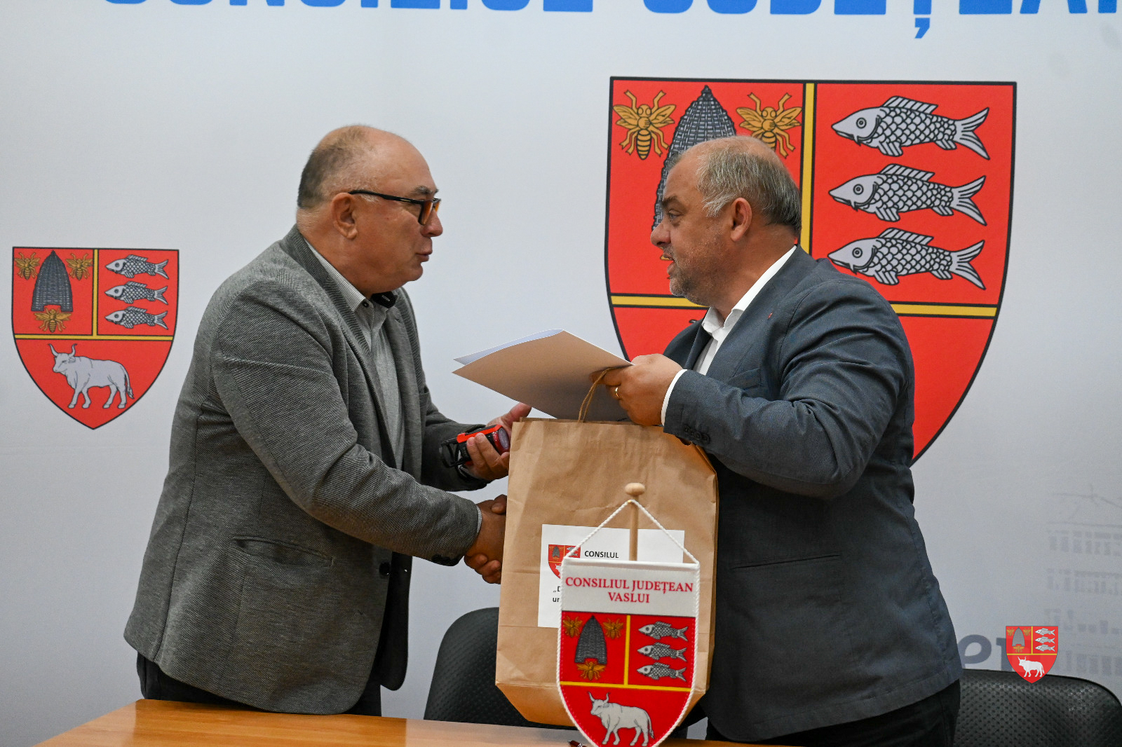 microbuze electrice 2015