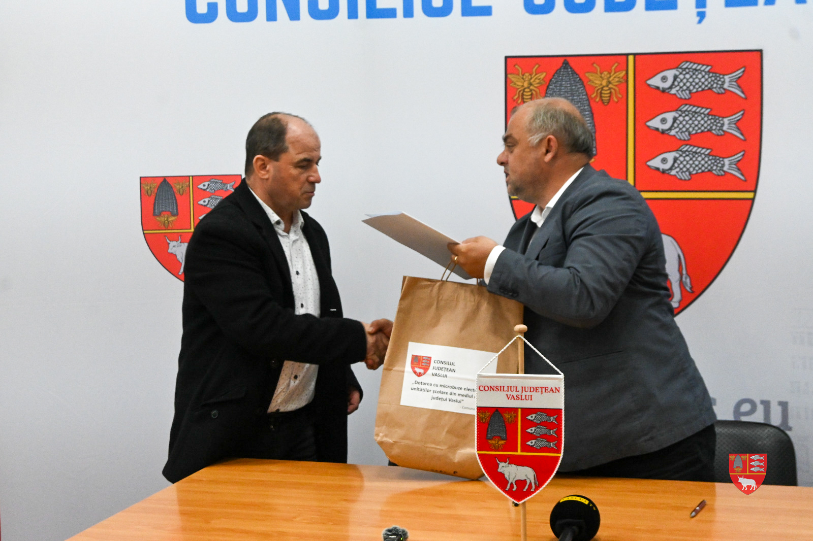 microbuze electrice 2016