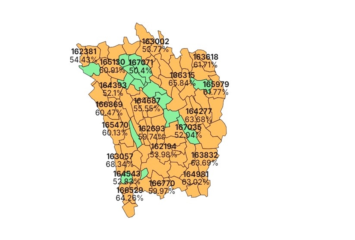 vot simion nicusor 221