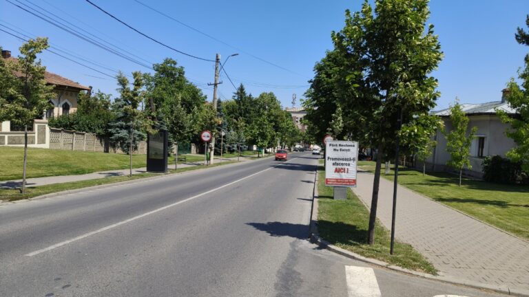 Tinerii din Huși se mobilizează pentru natură: plantări, ateliere și dezbateri ecologice, în iunie