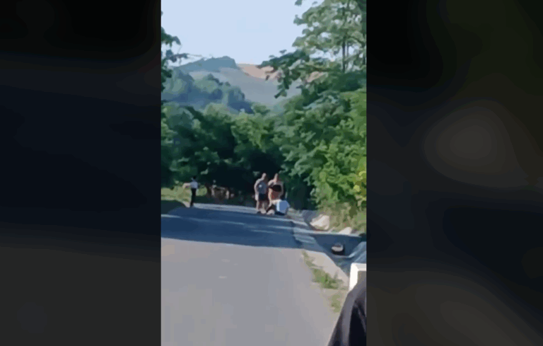 VIDEO O femeie din Buscata, Ivănești, susține că a fost bătută în fața fetiței. ”Dacă mă omorau în fața copilașului?”
