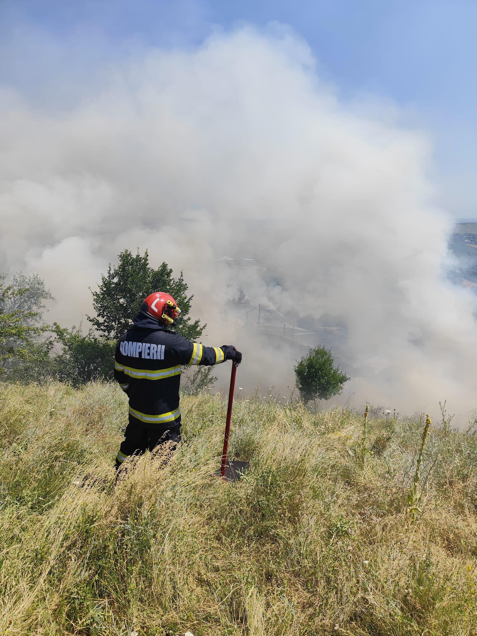 incendiu padureni vegetatie 2302