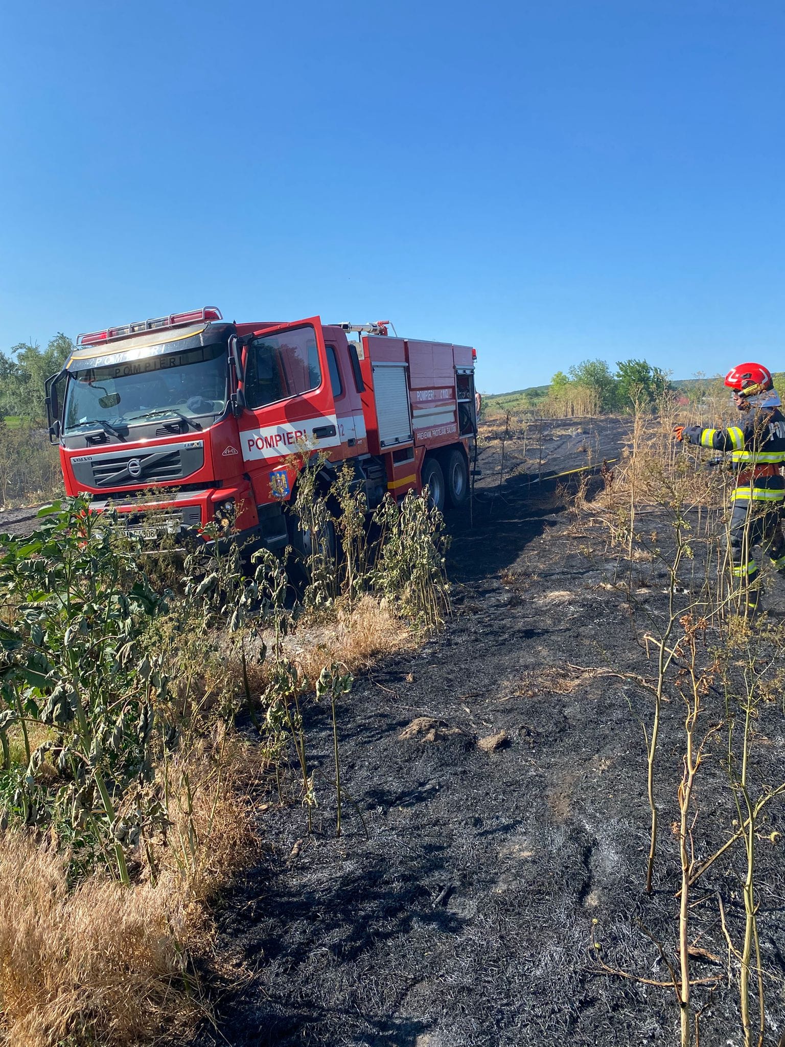 incendiu tomesti 22