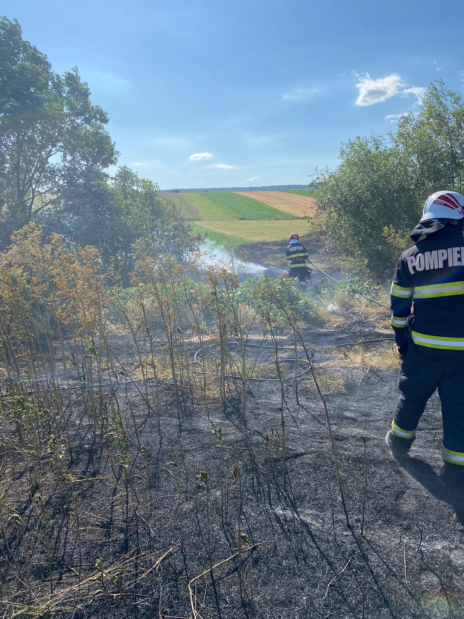 incendiu tomesti vegetatie 201