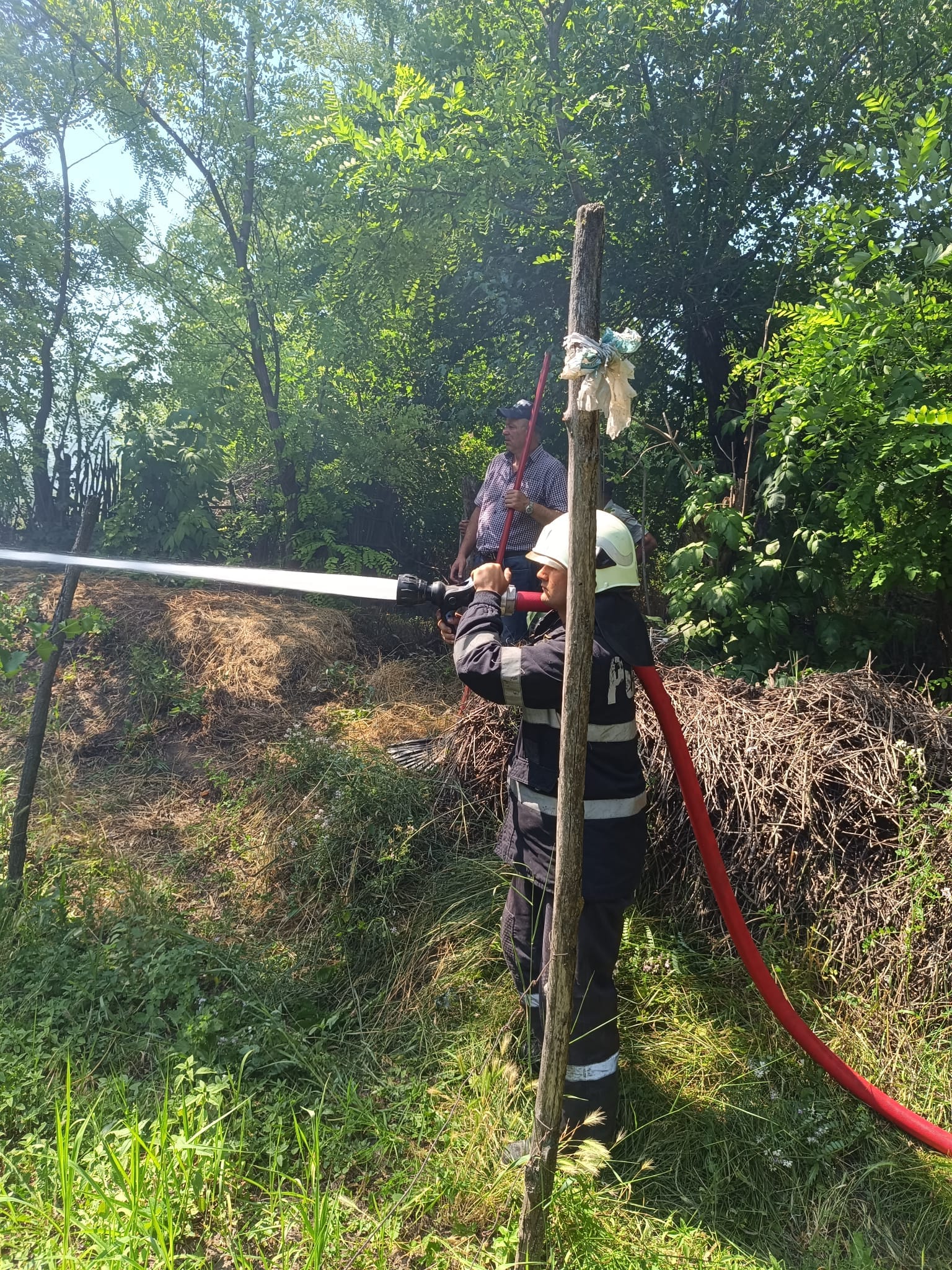 incendiu vegetatie bunesti averesti 62
