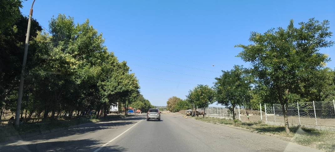 Bulevardul principal al Bârladului va fi asfaltat de Nomis 2003, anunță primarul Boroș